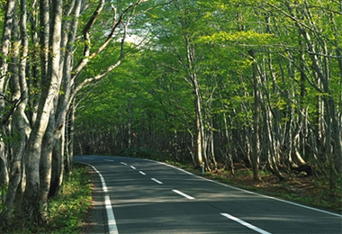 高渗透乳化沥青